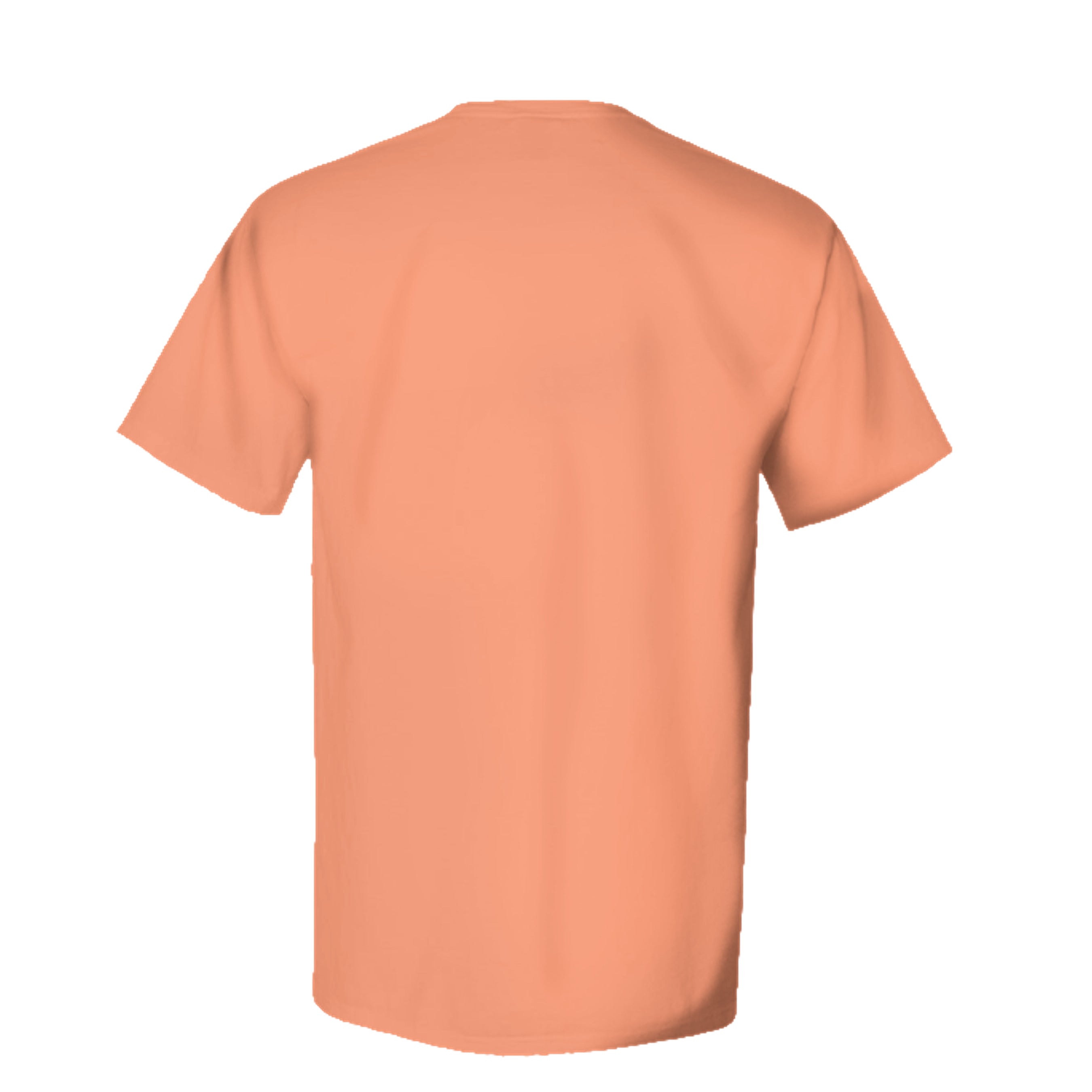 HORIZON ORANGE - GDH100 - BACK